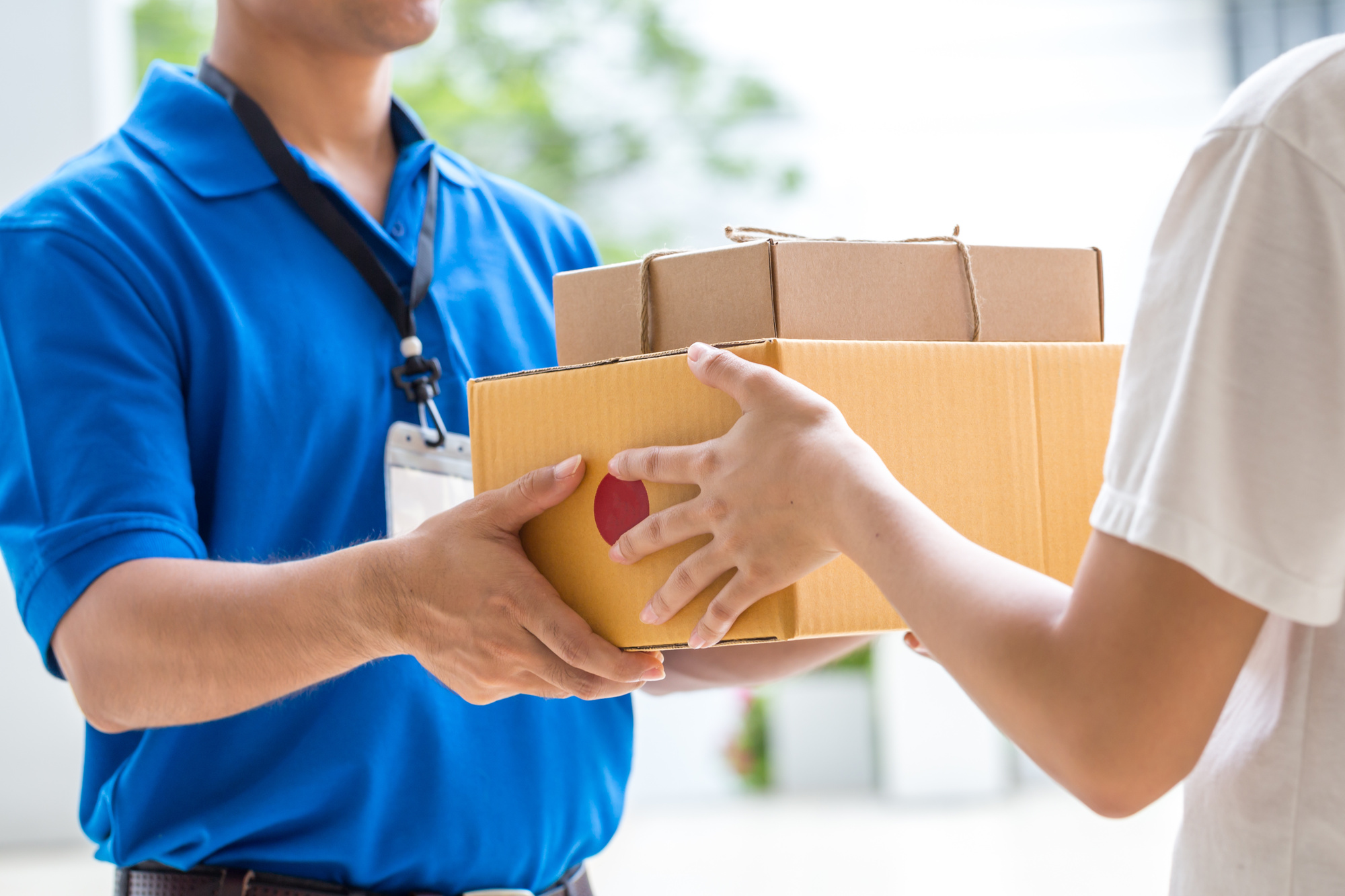 Domestic Express Parcels